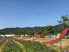 -天适樱花悠乐园