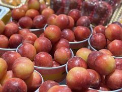 -胡麻地果研所(兰州中心BM店)