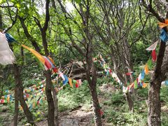 -阳台山自然风景区