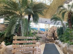 -杭州开元森泊度假乐园