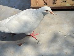 -翰园碑林