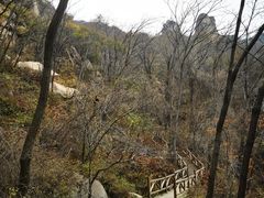 -大岭沟猕猴桃谷风景区