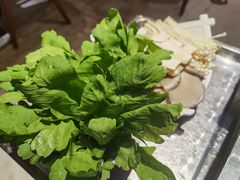 -潮汕三宝鲜牛肉火锅