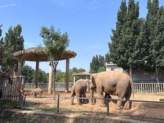 -石家庄市动物园