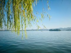 -楼外楼(西湖景区孤山路店)