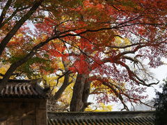 -青岛崂山太清宫