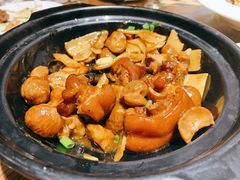 板粟蹄花-双合园·海鲜水饺青岛菜(万佳广场店)