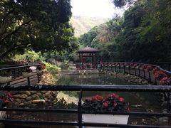-月亮湾公园