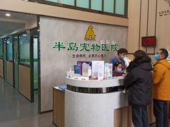 -半岛宠物医院24小时(科华中路店)