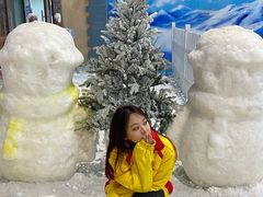 -世界之窗阿尔卑斯冰雪世界
