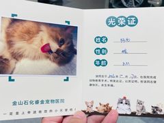 -睿金宠物医院·CT·肿瘤·骨外科