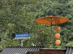 -西双版纳原始森林公园
