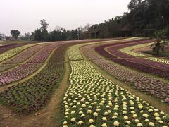 -保利石象湖景区