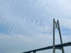 -招商蛇口邮轮母港(观光客运)