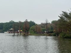 -海珠湖公园