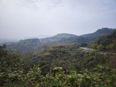 -火炉山森林公园