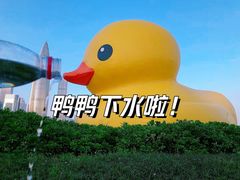 -深圳人才公园
