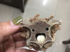 -羊圈(樊洼路店)