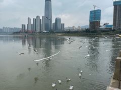 -中国宜宾·长江地标广场