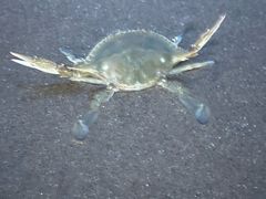 -嵊泗基湖沙滩