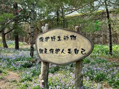 -香山公园