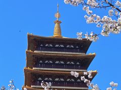 -牛首山文化旅游区