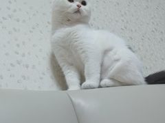 -福州肆爪动物医院