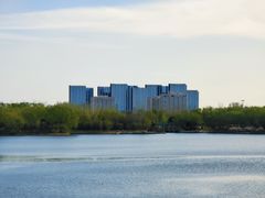 -大兴滨河森林公园