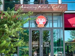 -了不起的考拉咖啡店(高新店)