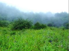 -白草畔自然风景区