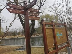 -西海子公园