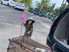 -东郊椰林