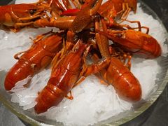 -红盔甲·小龙虾(人民广场店)