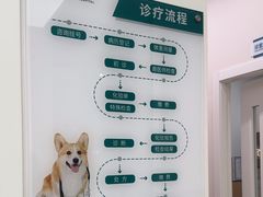 -瑞派康怡24h宠物医院·犬猫医疗中心·微创绝育(瑞景分院)