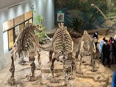 -自贡恐龙博物馆