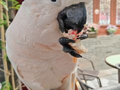 -四海楼(如皋定慧禅寺店)