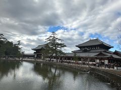 -奈良公园