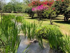 -中国科学院西双版纳热带植物园