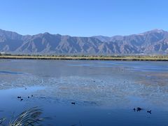 -野鸭湖国家湿地公园