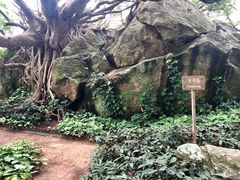 -宋井风景区