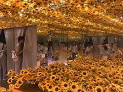 -上海梵高星空艺术馆(南京路旗舰店)