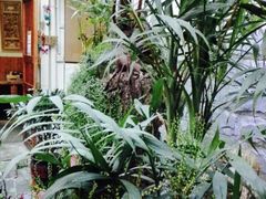 -丽江庭院之丽江往事(安定门店)