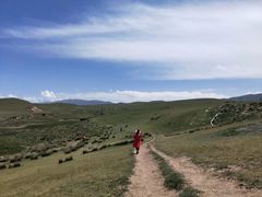 -青海湖国家重点风景名胜区
