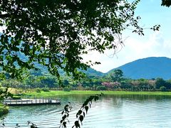 -风云岭森林公园