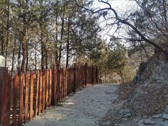 -阳台山自然风景区