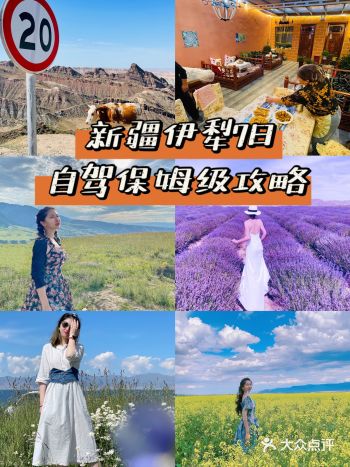 新疆伊犁｜7天小众高性价比自驾保姆级攻略
