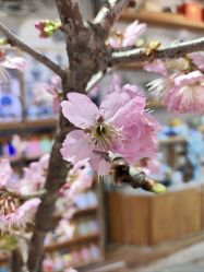 -今日陶艺(富力广场店)