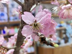 -今日陶艺(富力广场店)
