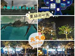 -亚龙湾热带天堂森林公园