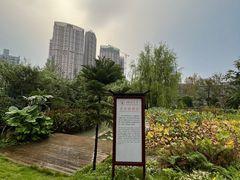 -四川大学(华西校区)